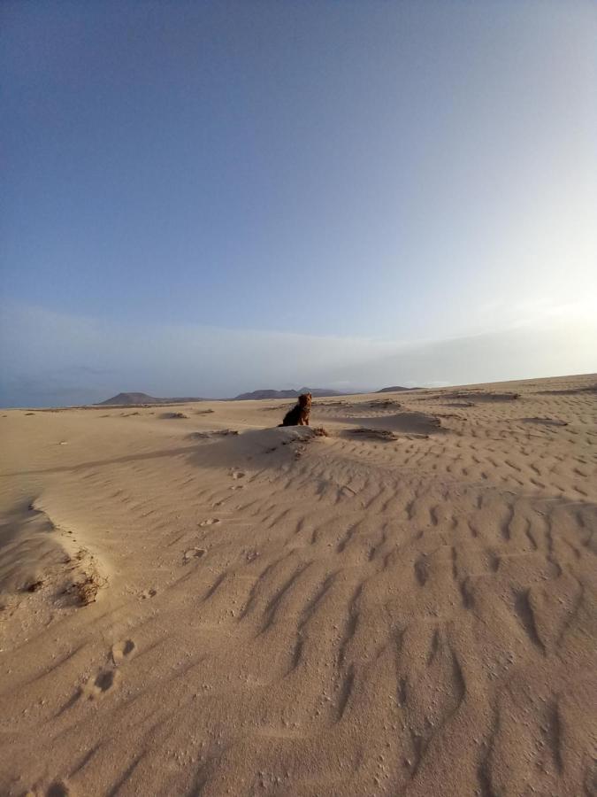 La Oliva Sun & Beach ภายนอก รูปภาพ